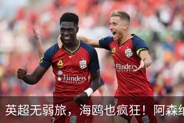 英超无弱旅，海鸥也疯狂！阿森纳3球惨败，拉亚成了远射背景板